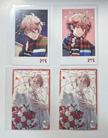 니지산지 세라프 대즐 가든 묶음 판매