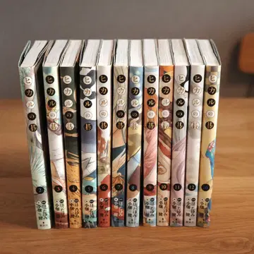 히카루의 바둑 완전판 2~12, 16권