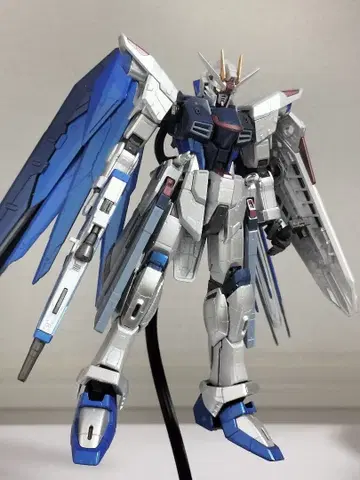 RG 프리덤 엑스트라 피니쉬