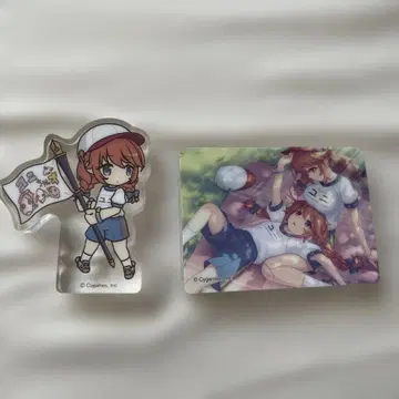 프린세스 커넥트 유니 아크릴 블록