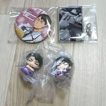 하이큐 도미노풍 아크릴 키링 컬렉션 우시지마 캔뱃지