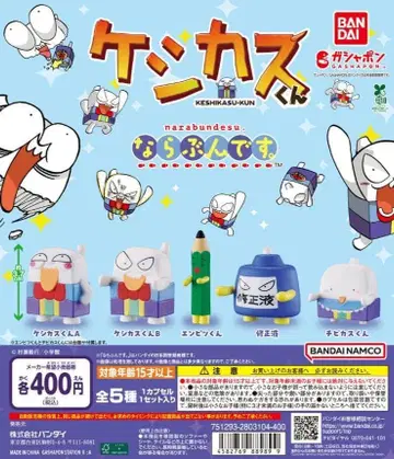 전 5종 컴프 케시카스군 나란히입니다.