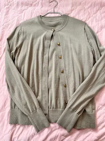 이에나 어린 풀색 앙상블