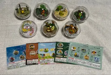 포켓몬 테라리움 컬렉션 묶음 판매