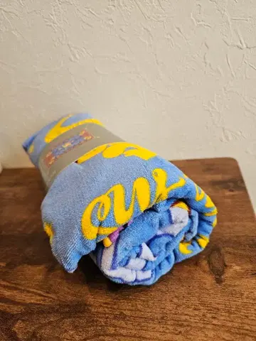 알라딘 마법의 양탄자 빅 타월 타월