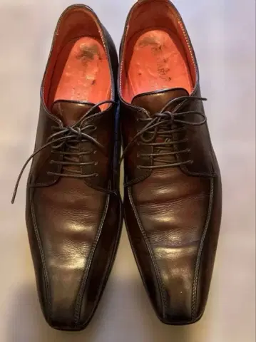 CARLO BOTTI 다크 브라운 비즈니스 슈즈