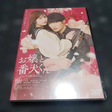 중고 DVD 오죠토 반켄쿤