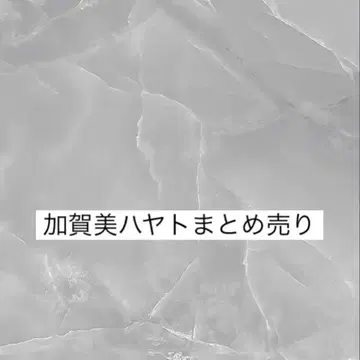 카가미 하야토 묶음 판매