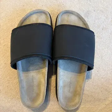 Hender Scheme caterpillar