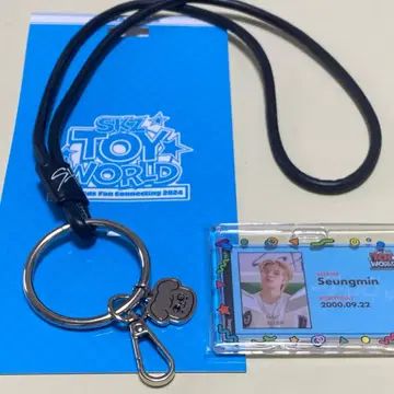 stray kids 승민 패스케이스 ID 카드 세트 TOYworld 굿즈