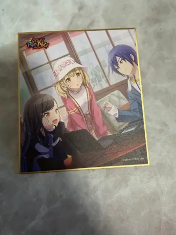 프로세카 코하네/색지