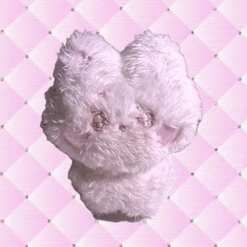 ENHYPEN 선우 10cm 봉제 인형