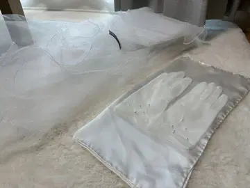 웨딩 베일과 그로브 세트