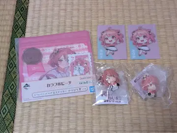 컬러풀피치 노아님