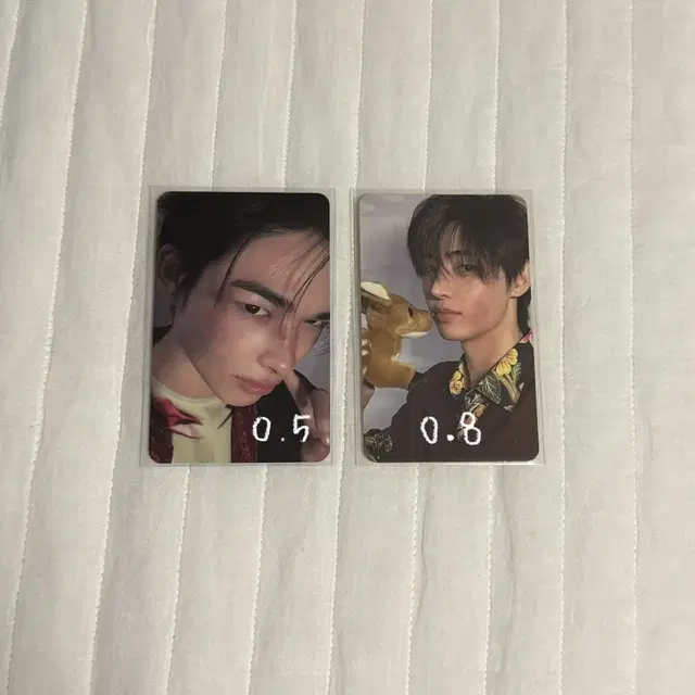 (일괄가격) 엔하이픈 디자이어 앨범 니키 성훈 포카 양도