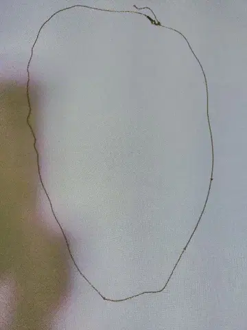 아가트 롱 목걸이 K10