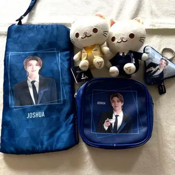 SEVENTEEN SEGA 조슈아 세트