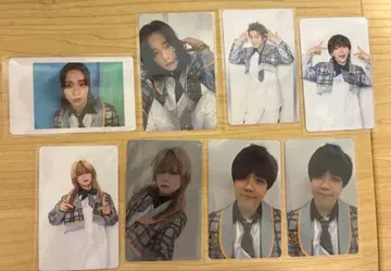 멍멍멍 고양이냥냥냥 트레이딩 카드 하피카 8장 세트