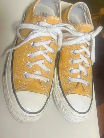 converse 척테일러 썬플라워 24.5cm