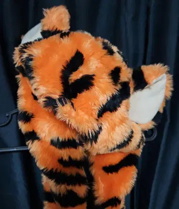 디즈니 티거 팬캡