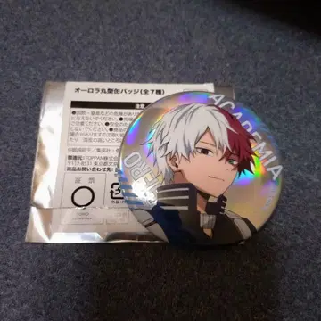 히로아카 네스타 리조트 캔뱃지 토도로키