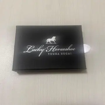 스가이 유카 Lucky Horseshoe 실버 목걸이