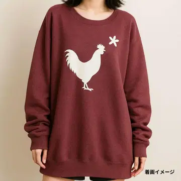 US제 얼터너티브 어패럴 그래픽 맨투맨