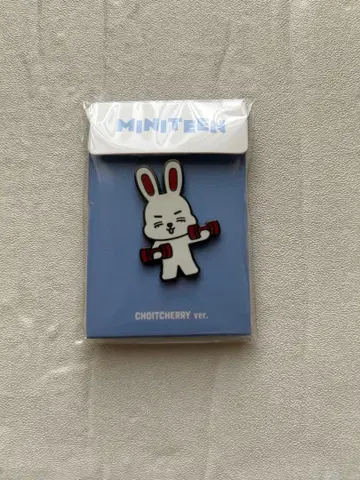 [ SEVENTEEN ] MINITEEN 핀 배지