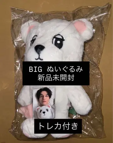 우크동 2025 한국 팝업 빅 봉제 인형 트레이딩 카드 포함