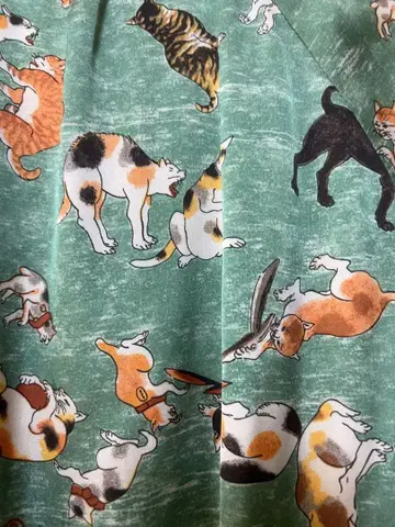 ellecy 고양이 무늬 바시티 자켓