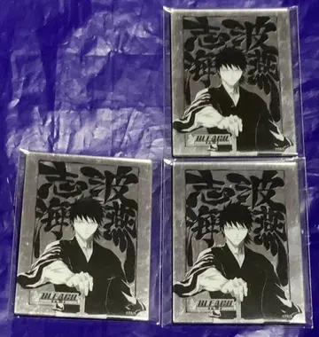 BLEACH 메탈릭 마그넷 컬렉션 시바 카이엔
