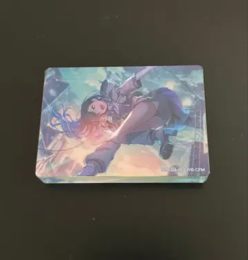 프로세카 시로이시 안 노블 아트 컬렉션