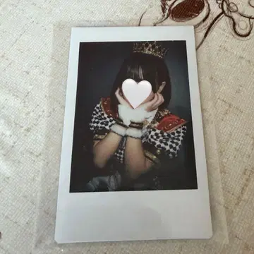 아이스 란 폴라로이드