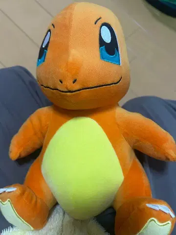 인형뽑기 경품 포켓몬스터 모후굿토 봉제 인형 꼬부기