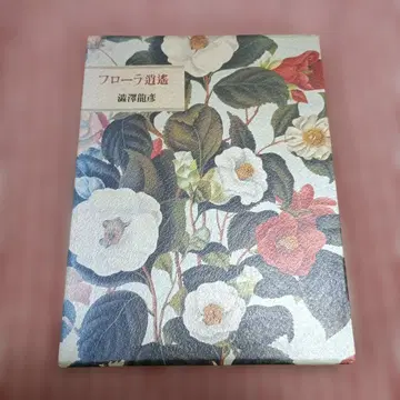 플로라 순유 하스누마 타츠히코