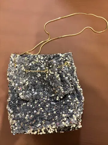 ODETTE E ODILE 스파클 백 실버 새상품급