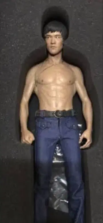 ENTERBAY BL-1 브루스 리 1/6 피규어 한정품 etc