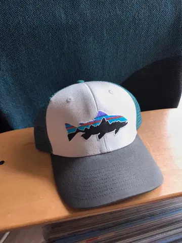 Patagonia 빈티지 메쉬 캡