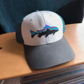 Patagonia 빈티지 메쉬 캡