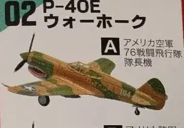 P-40 워호크 미국 공군 대장기 설명서 없음 에프토이즈 1/144