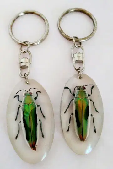 레인보우 키링 아름다운 곤충 타마무시 정품 2개 타마무시