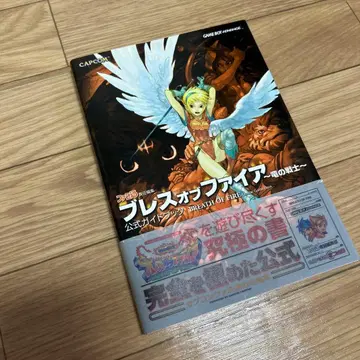 블레스 오브 파이어 ~용의 전사~ 공식 가이드북