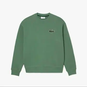 라코스테 맨투맨 올리브색 XS