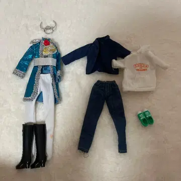 리카짱 인형 하루토군 옷 갈아입기