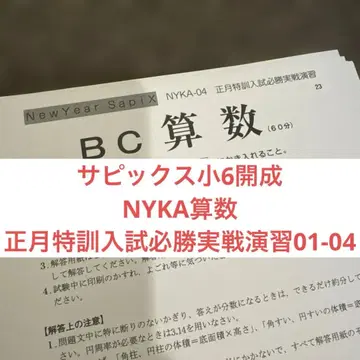 사피 초6 카이세이 NYKA 산수