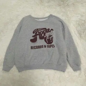 Vintage 맨투맨 THE BIG APPLE Hanes 속기모