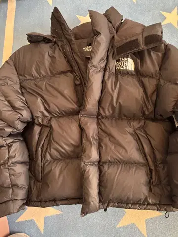 THE NORTH FACE 블랙 다운 자켓