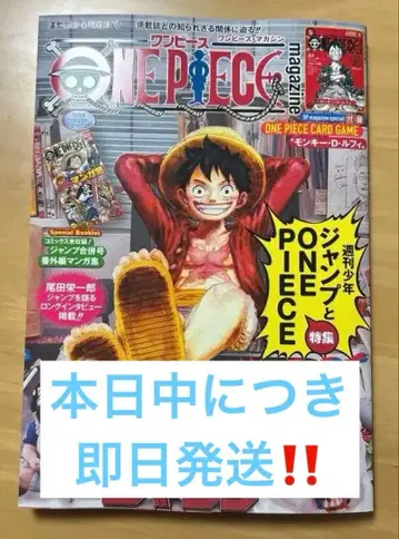 ONE PIECE magazine 020 미개봉