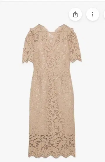 셀포드 레이스 원피스 (베이지) / 반팔 미디 기장 원피스 36