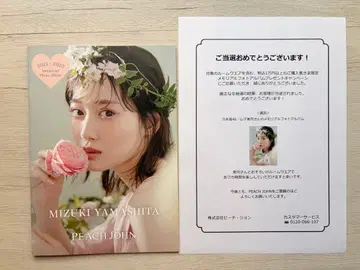 야마시타 미즈키 피치 존